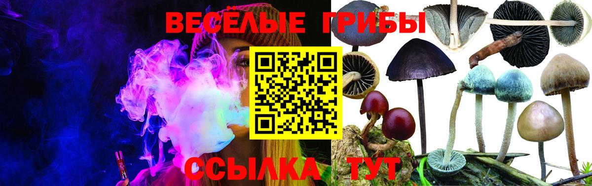 Галлюциногенные грибы GOLDEN TEACHER Можайск